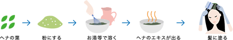 手順